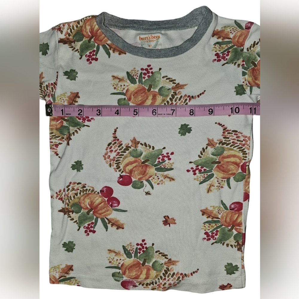 Burt’s Bees Kids Organic Cotton Pajama Set Thanksgiving Fall Pumpkin Harvest 4T - Picture 7 of 16